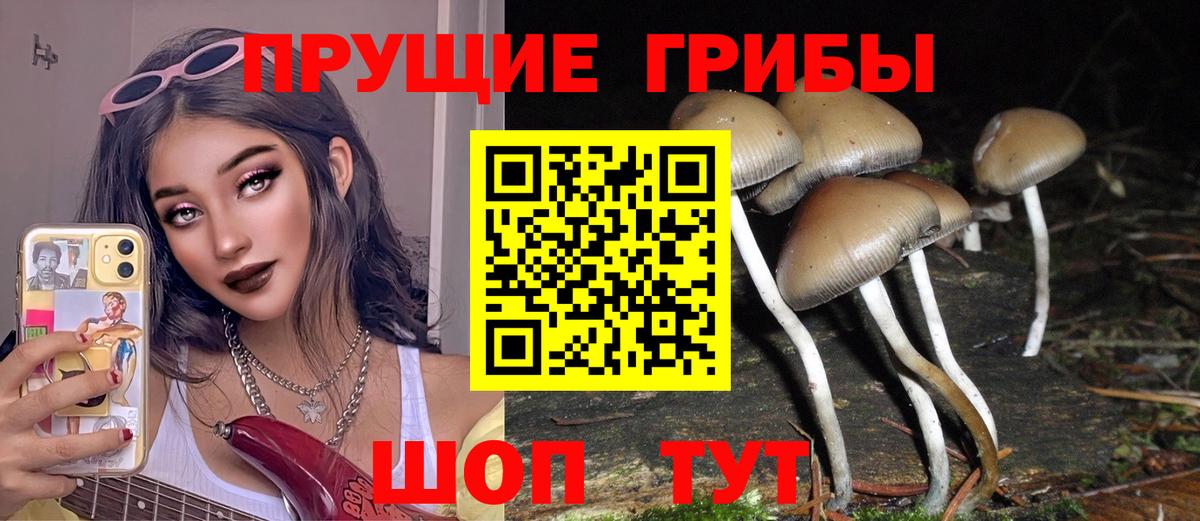 Иркутск  Галлюциногенные грибы мухоморы  купить   Вход с VPN  Псилоцибиновые грибы прущие грибы 
